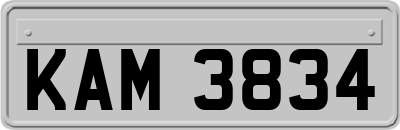 KAM3834
