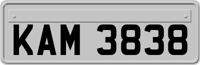 KAM3838