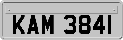KAM3841
