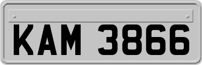 KAM3866
