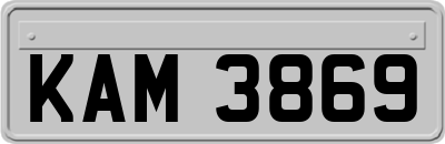 KAM3869
