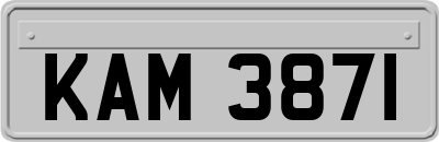 KAM3871