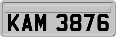 KAM3876