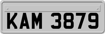 KAM3879