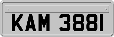 KAM3881