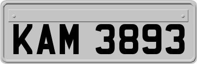 KAM3893