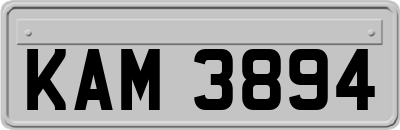 KAM3894