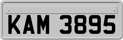 KAM3895