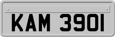 KAM3901