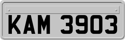 KAM3903