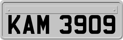 KAM3909