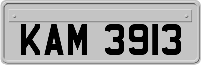 KAM3913