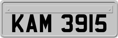 KAM3915