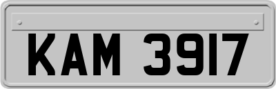 KAM3917