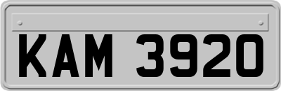 KAM3920