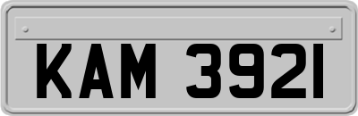 KAM3921