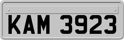 KAM3923