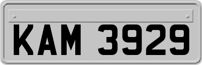 KAM3929