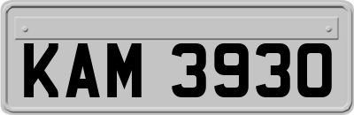 KAM3930