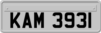 KAM3931