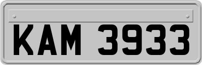 KAM3933