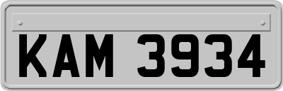 KAM3934