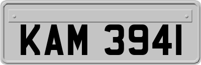KAM3941