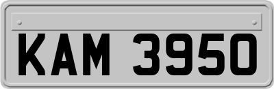 KAM3950