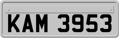 KAM3953