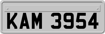 KAM3954