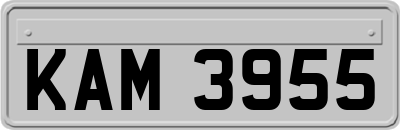 KAM3955