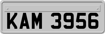 KAM3956