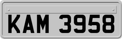 KAM3958