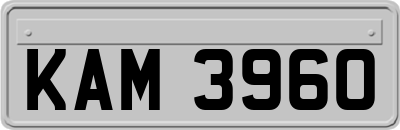 KAM3960