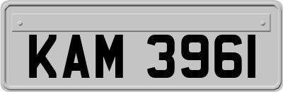 KAM3961