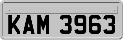 KAM3963