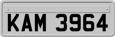 KAM3964