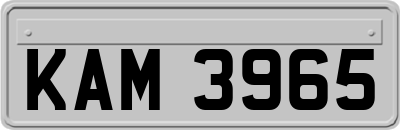 KAM3965