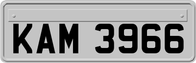 KAM3966