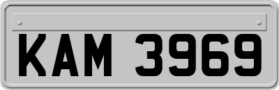KAM3969