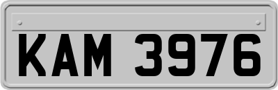 KAM3976