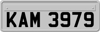 KAM3979