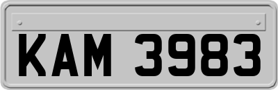 KAM3983