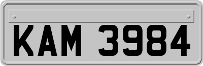 KAM3984