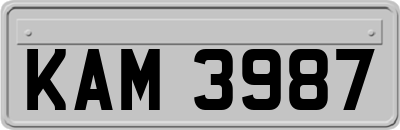 KAM3987