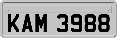 KAM3988