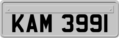 KAM3991