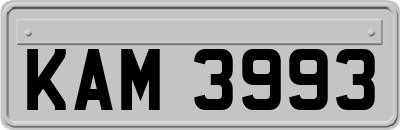 KAM3993