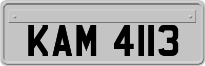 KAM4113