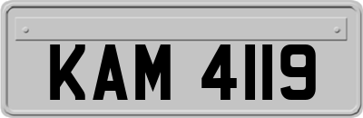 KAM4119